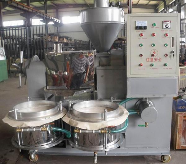 Palm fruit oil press machine